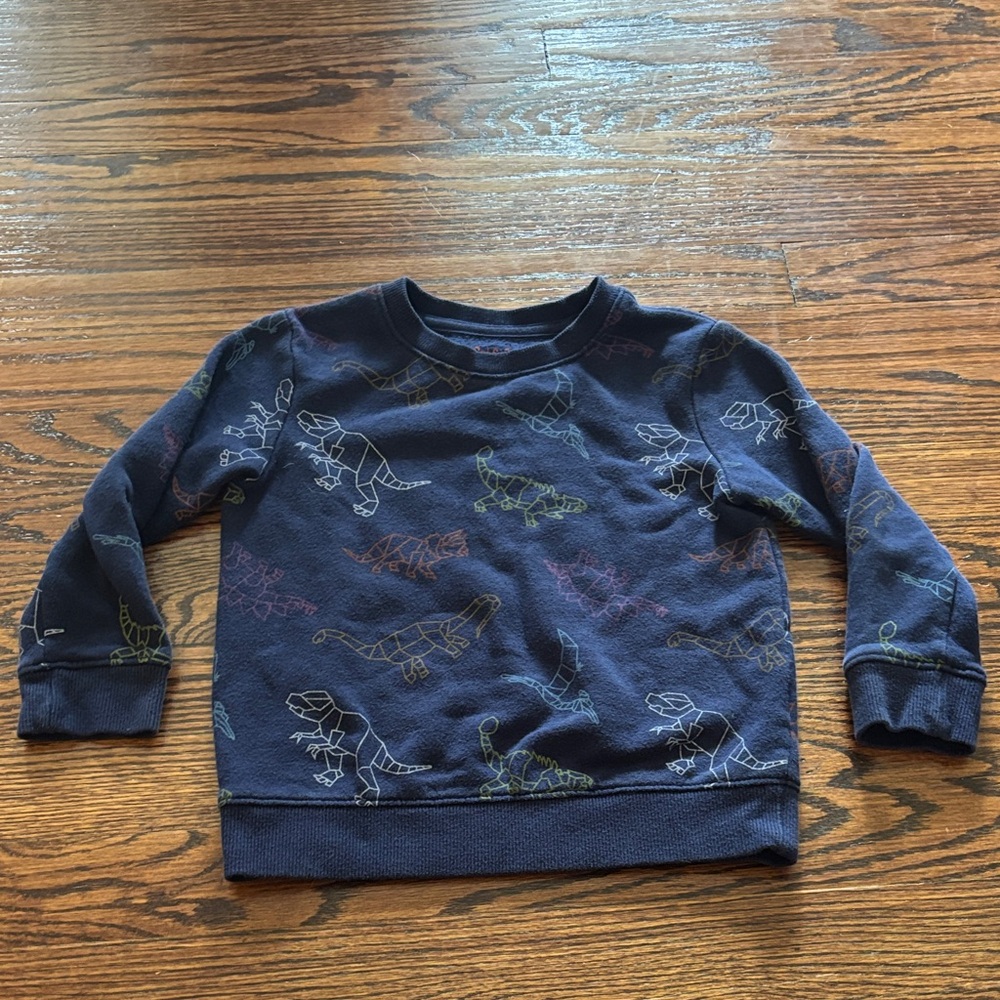 Cat & Jack Geographic Dinosaur Pullover Crewneck Sweatshirt, size 4T